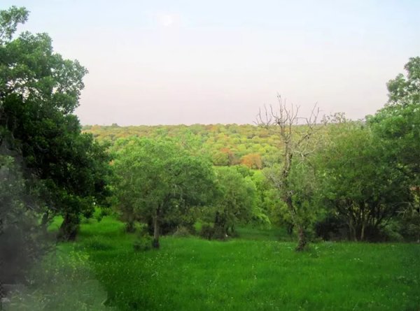  | موسوعة القرى الفلسطينية