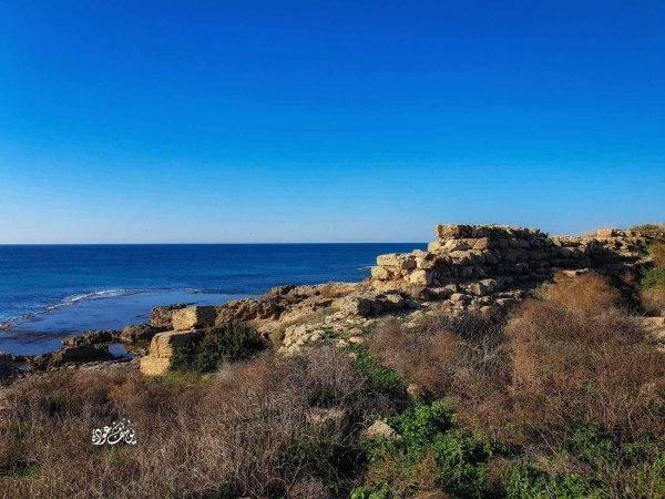  | موسوعة القرى الفلسطينية