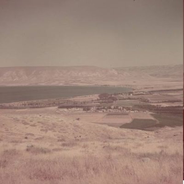  | موسوعة القرى الفلسطينية