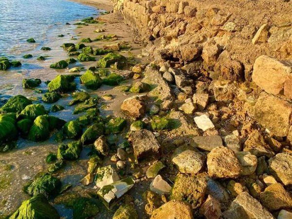  | موسوعة القرى الفلسطينية