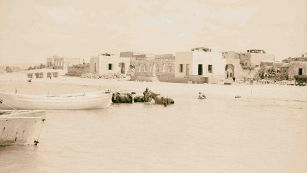  | موسوعة القرى الفلسطينية