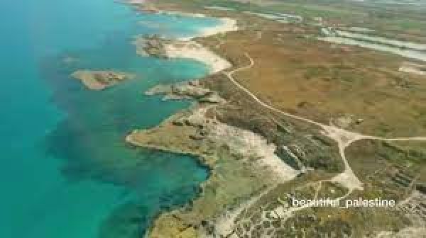  | موسوعة القرى الفلسطينية