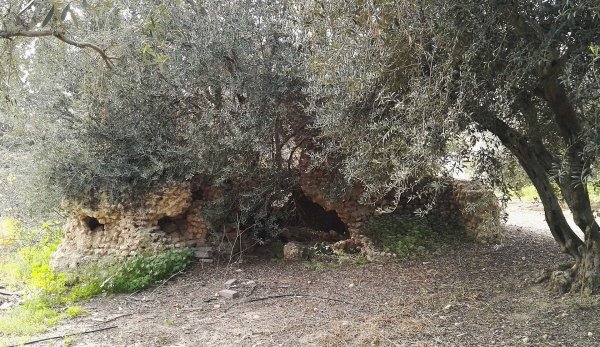 بناء قديم - قرية بيت دراس