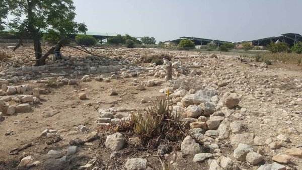 من أراضي البروة