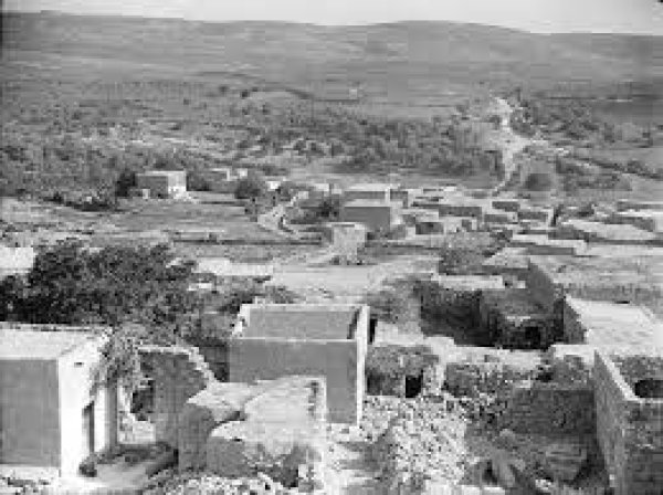 البروة قبل النكبة