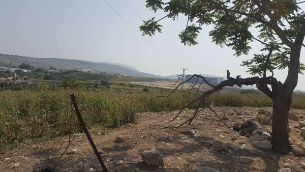 من أراضي البروة