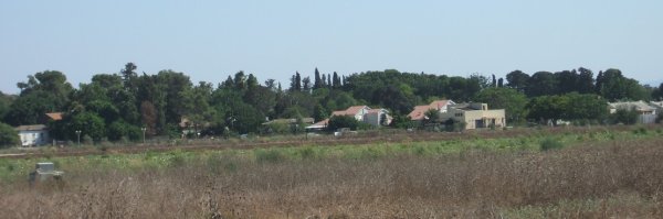 المستعمرة المقامة على أراضي البروة