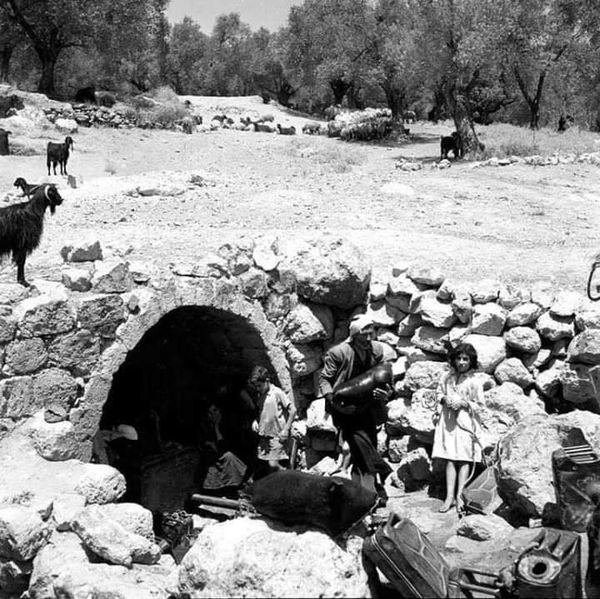 قرية البروة