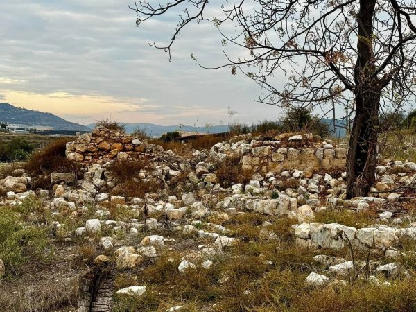 صور حديثة من قرية البروة المهجرة، بعدسة: أ. ابراهيم أبو عمار