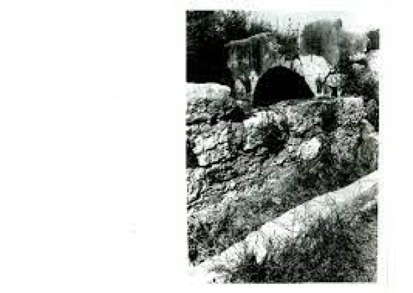 قرية الدامون