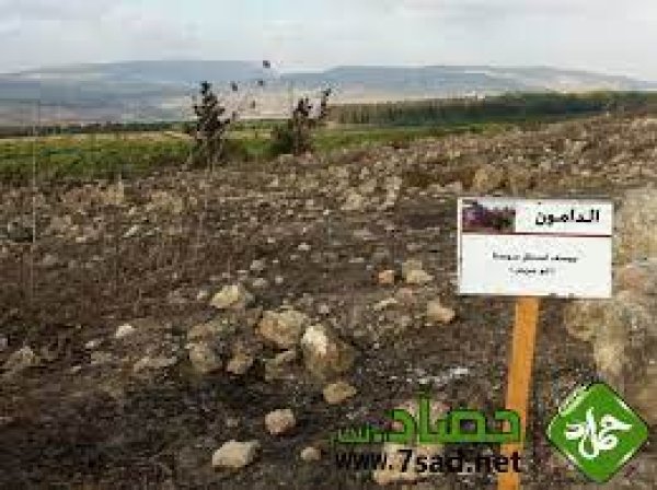 قرية الدامون