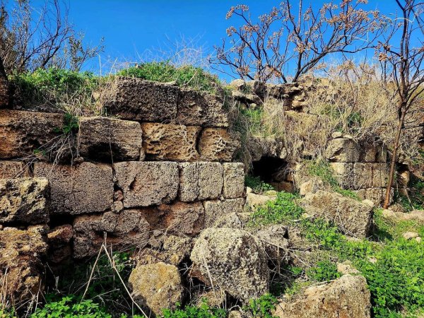  | موسوعة القرى الفلسطينية