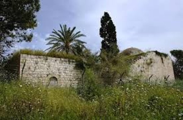 مسجد الغابيسية / عكا