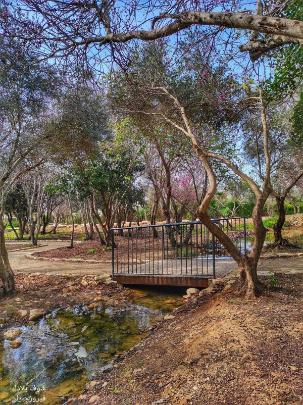 قرية الكابري