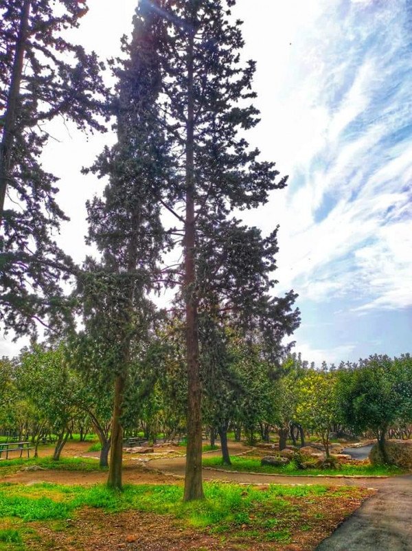 قرية الكابري