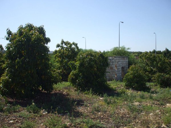 قرية الكابري