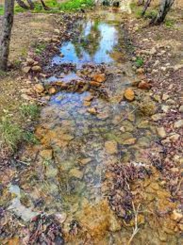 قرية الكابري