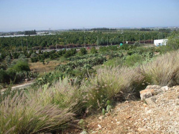 قرية الكابري