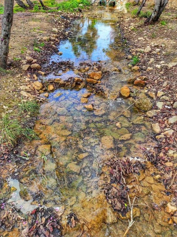 قرية الكابري