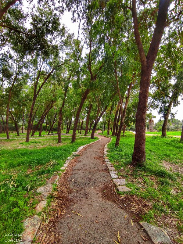 قرية الكابري