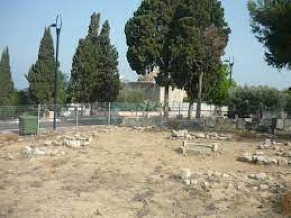  | موسوعة القرى الفلسطينية