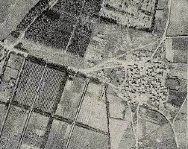 عين المنشية