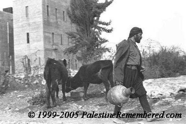 قرية ترشيحا