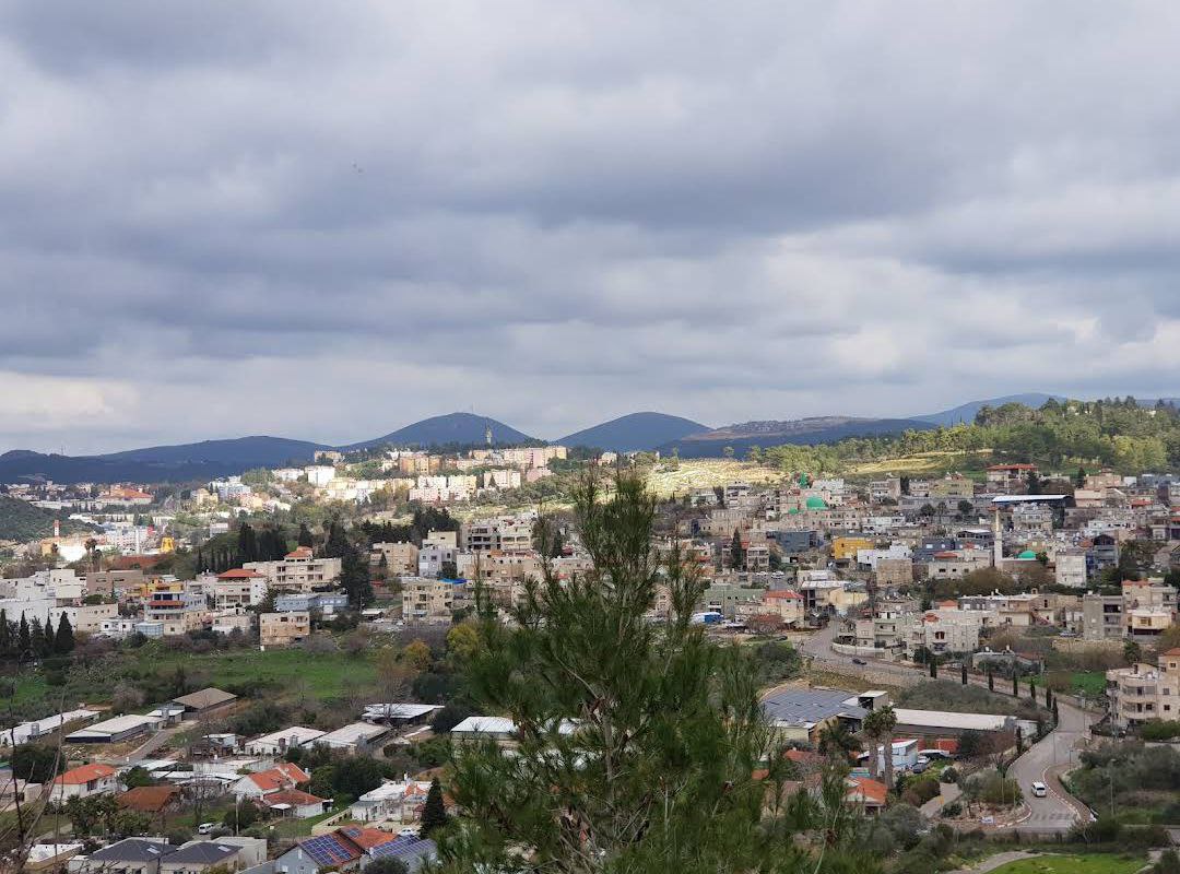 تَرْشِيْحَا