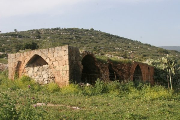 قرية كفر عنان / عكا