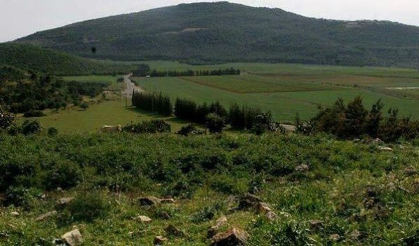 قرية كفر عنان / عكا