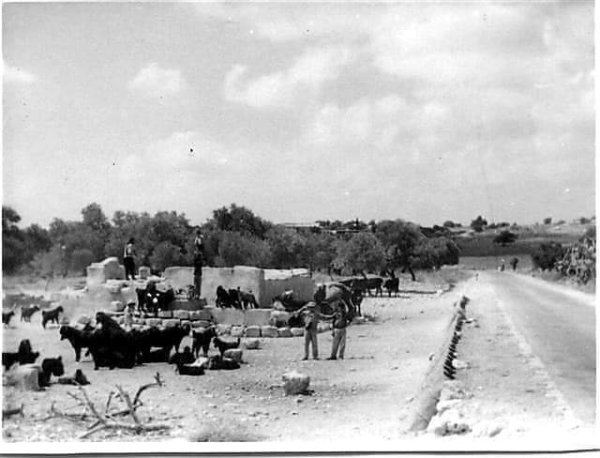  | موسوعة القرى الفلسطينية