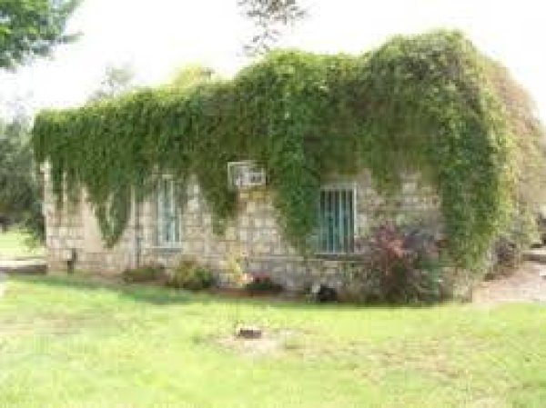  | موسوعة القرى الفلسطينية