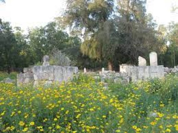  | موسوعة القرى الفلسطينية