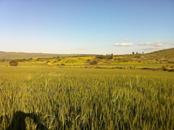  | موسوعة القرى الفلسطينية