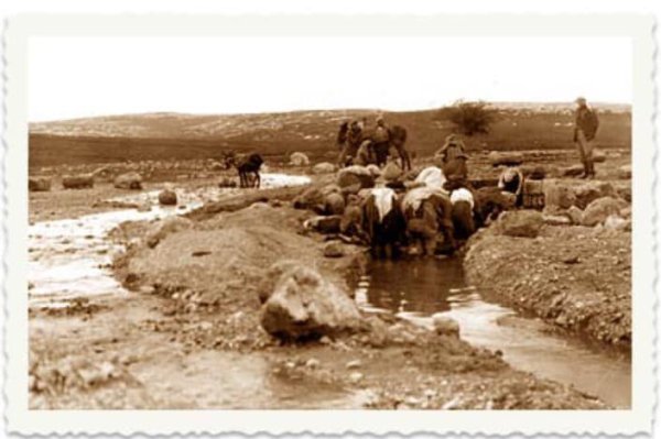  | موسوعة القرى الفلسطينية