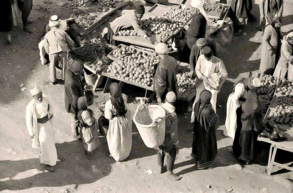  | موسوعة القرى الفلسطينية