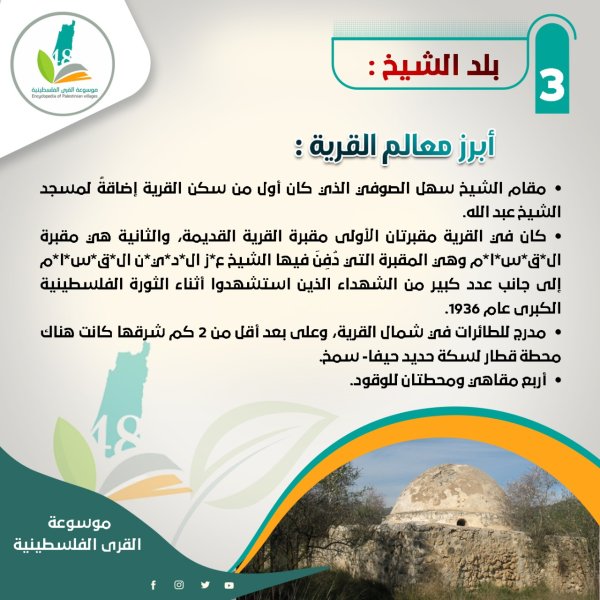 قرية بلد الشيخ