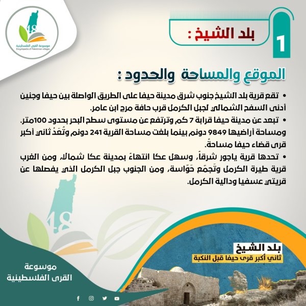 قرية بلد الشيخ