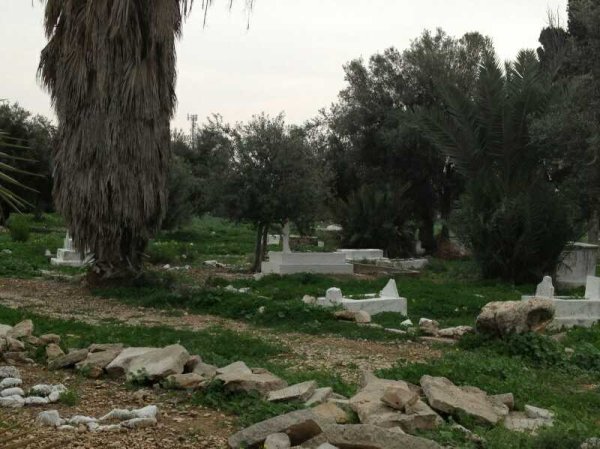  | موسوعة القرى الفلسطينية