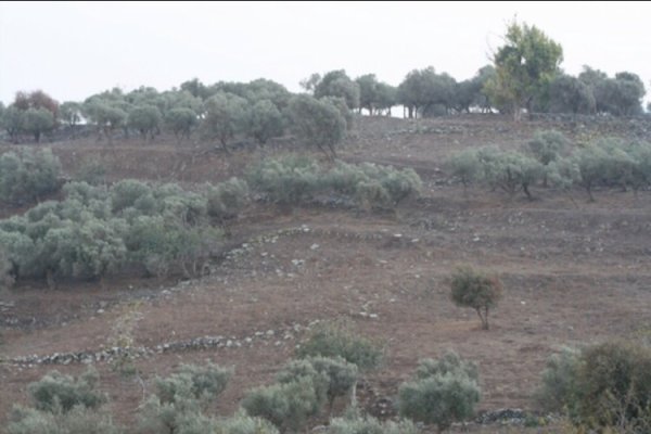  | موسوعة القرى الفلسطينية