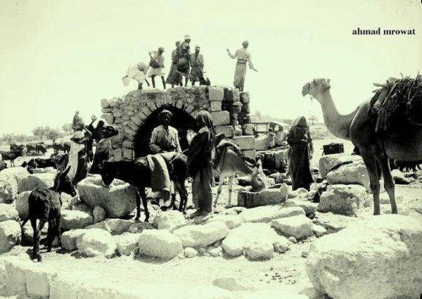  | موسوعة القرى الفلسطينية