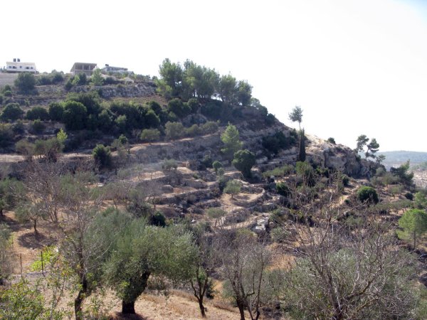  | موسوعة القرى الفلسطينية