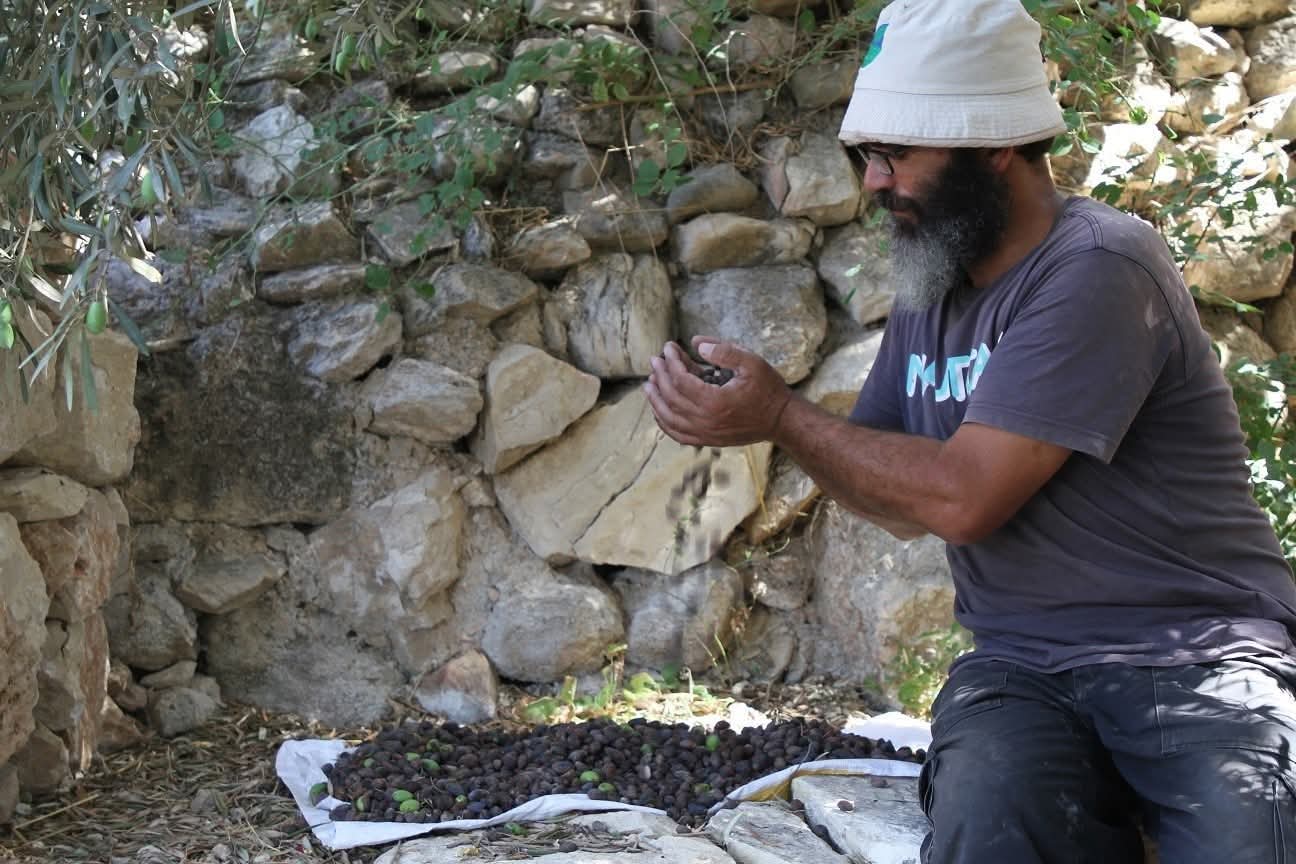  | موسوعة القرى الفلسطينية