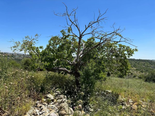 قرية  بيت عطاب / القدس
