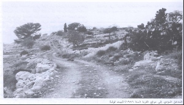 الطريق المؤدي الى قرية  بيت عطاب