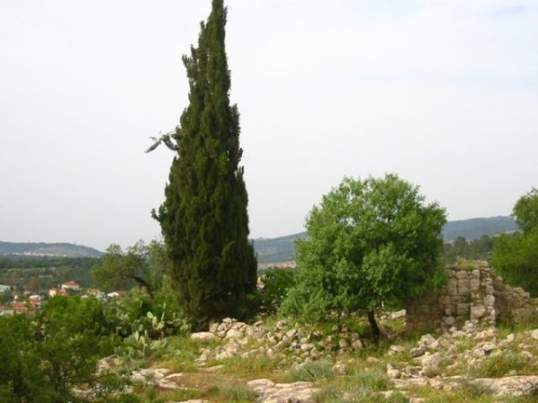  | موسوعة القرى الفلسطينية