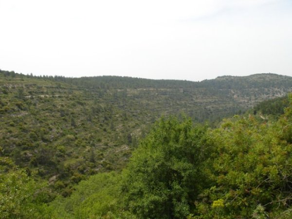  | موسوعة القرى الفلسطينية