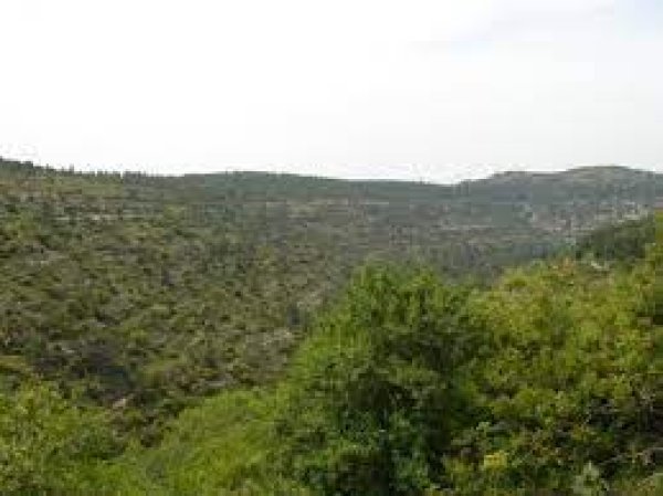  | موسوعة القرى الفلسطينية