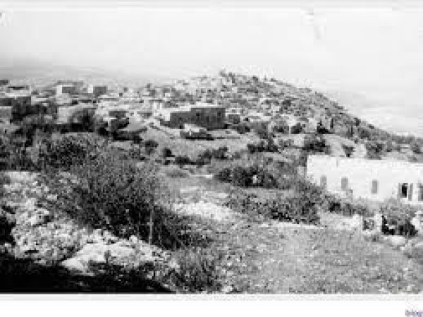  | موسوعة القرى الفلسطينية