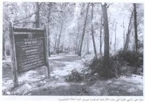  | موسوعة القرى الفلسطينية